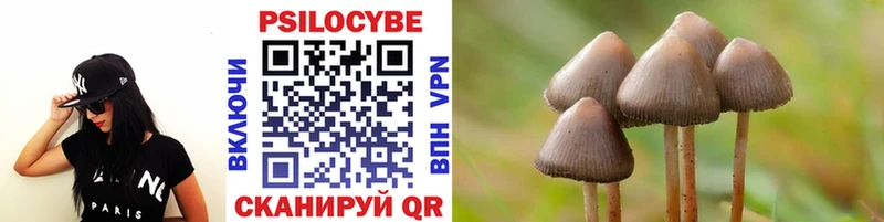 цена наркотик  Зеленоградск  Галлюциногенные грибы Psilocybine cubensis 