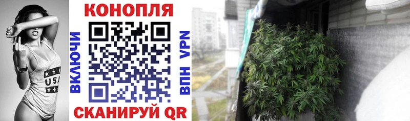 купить закладку  Зеленоградск  дарк нет телеграм  Каннабис VHQ 